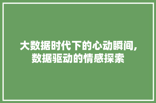 大数据时代下的心动瞬间,数据驱动的情感探索