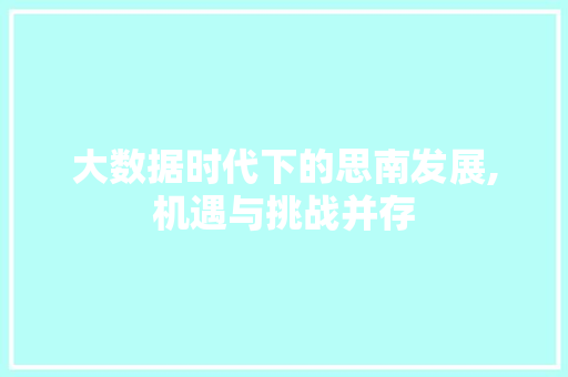 大数据时代下的思南发展,机遇与挑战并存