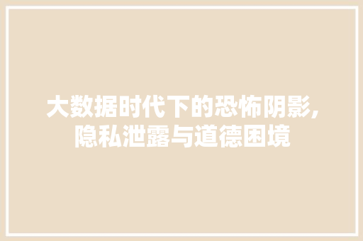 大数据时代下的恐怖阴影,隐私泄露与道德困境