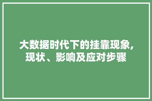 大数据时代下的挂靠现象,现状、影响及应对步骤