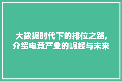 大数据时代下的排位之路,介绍电竞产业的崛起与未来