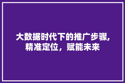 大数据时代下的推广步骤,精准定位，赋能未来