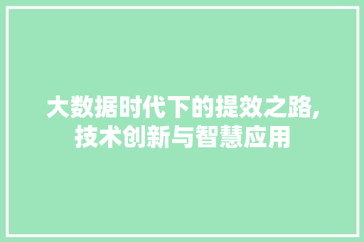 大数据时代下的提效之路,技术创新与智慧应用