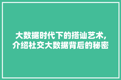 大数据时代下的搭讪艺术,介绍社交大数据背后的秘密