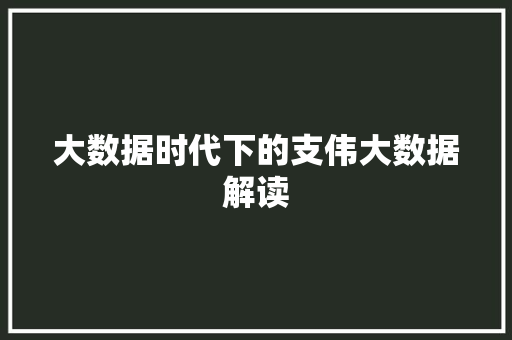 大数据时代下的支伟大数据解读