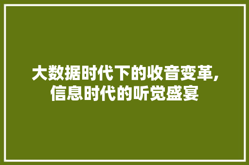 大数据时代下的收音变革,信息时代的听觉盛宴