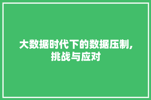 大数据时代下的数据压制,挑战与应对