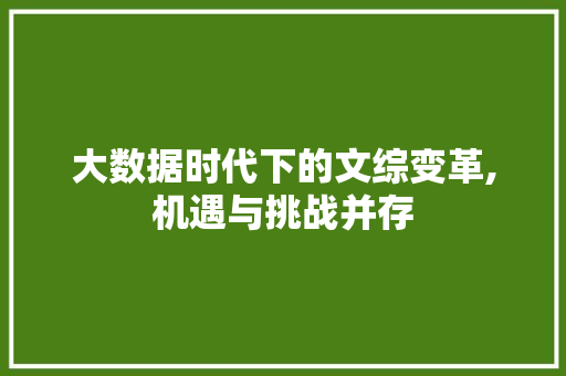 大数据时代下的文综变革,机遇与挑战并存