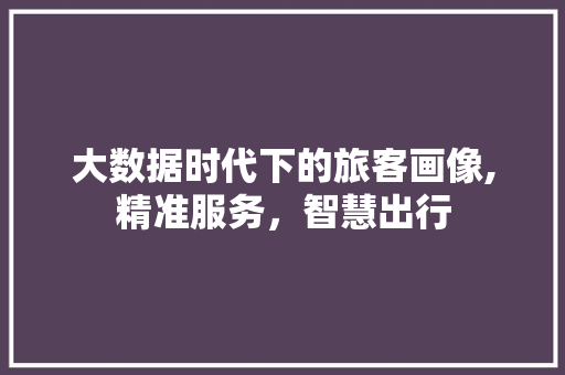 大数据时代下的旅客画像,精准服务，智慧出行