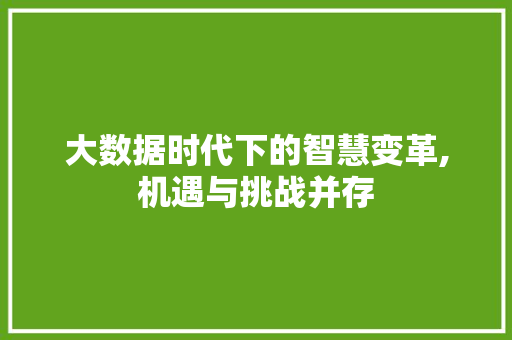 大数据时代下的智慧变革,机遇与挑战并存