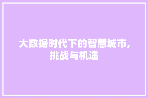 大数据时代下的智慧城市,挑战与机遇