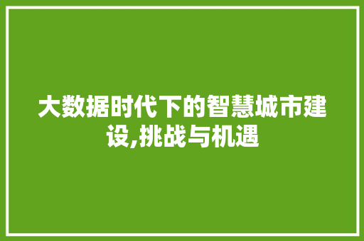 大数据时代下的智慧城市建设,挑战与机遇