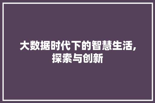 大数据时代下的智慧生活,探索与创新