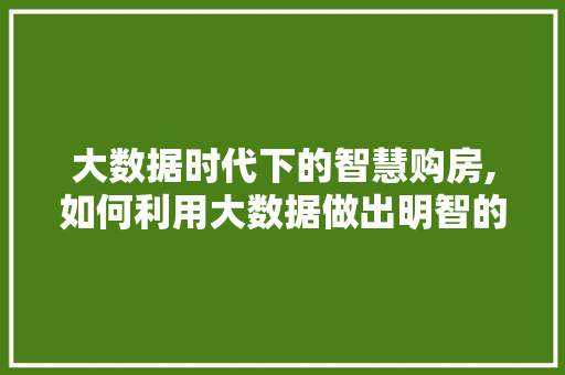 大数据时代下的智慧购房,如何利用大数据做出明智的买房决策