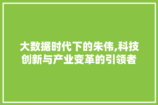 大数据时代下的朱伟,科技创新与产业变革的引领者