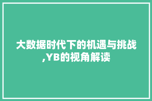 大数据时代下的机遇与挑战,YB的视角解读