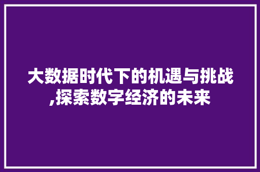 大数据时代下的机遇与挑战,探索数字经济的未来