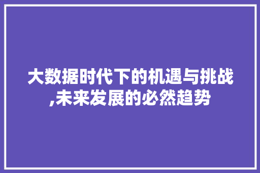 大数据时代下的机遇与挑战,未来发展的必然趋势