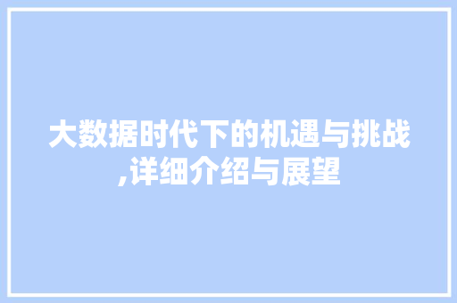 大数据时代下的机遇与挑战,详细介绍与展望