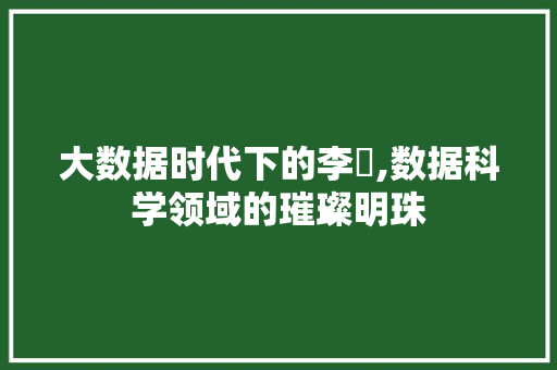 大数据时代下的李劼,数据科学领域的璀璨明珠