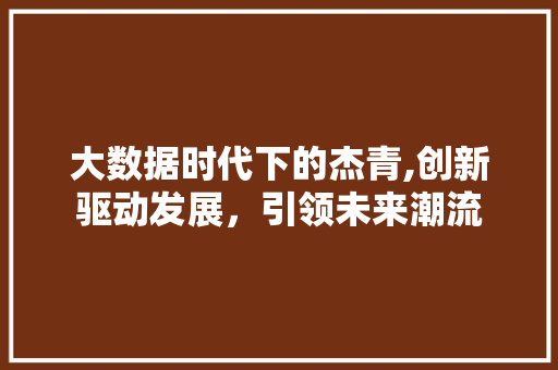 大数据时代下的杰青,创新驱动发展，引领未来潮流