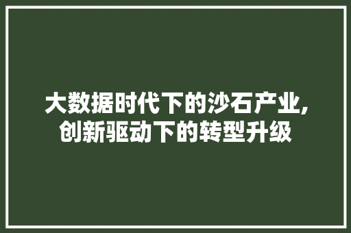 大数据时代下的沙石产业,创新驱动下的转型升级