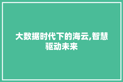 大数据时代下的海云,智慧驱动未来