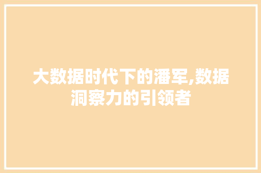 大数据时代下的潘军,数据洞察力的引领者