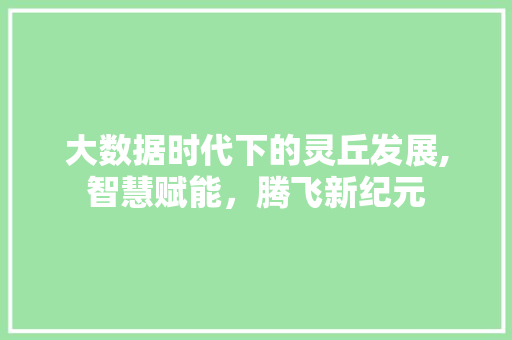 大数据时代下的灵丘发展,智慧赋能，腾飞新纪元