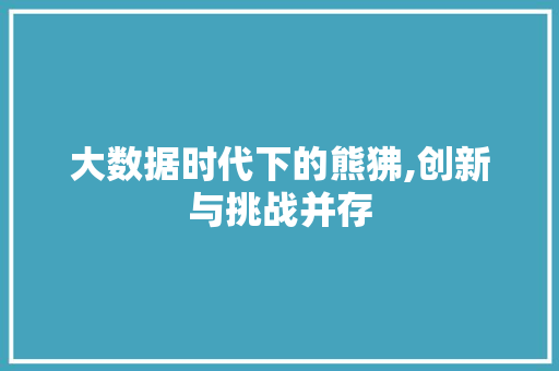 大数据时代下的熊狒,创新与挑战并存