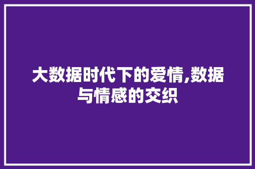 大数据时代下的爱情,数据与情感的交织