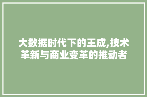 大数据时代下的王成,技术革新与商业变革的推动者