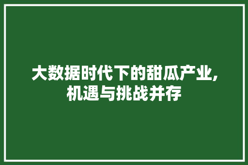 大数据时代下的甜瓜产业,机遇与挑战并存