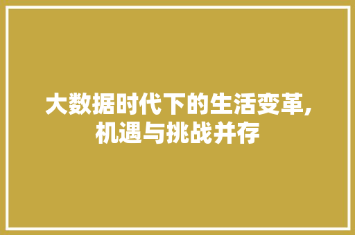 大数据时代下的生活变革,机遇与挑战并存