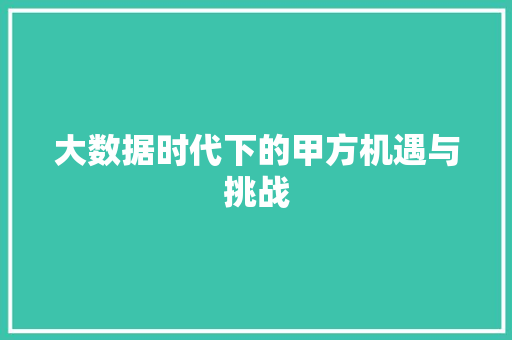 大数据时代下的甲方机遇与挑战