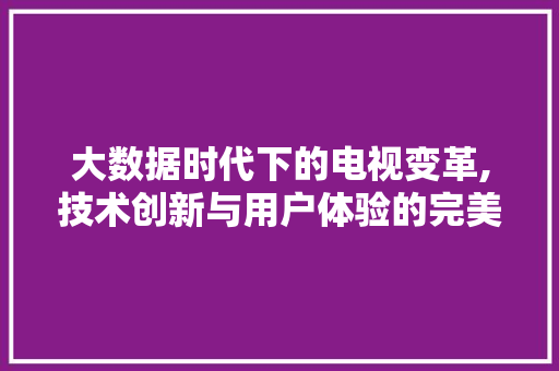 大数据时代下的电视变革,技术创新与用户体验的完美融合