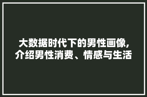 大数据时代下的男性画像,介绍男性消费、情感与生活方式