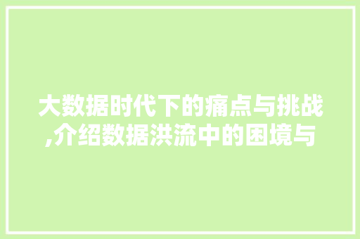 大数据时代下的痛点与挑战,介绍数据洪流中的困境与对策