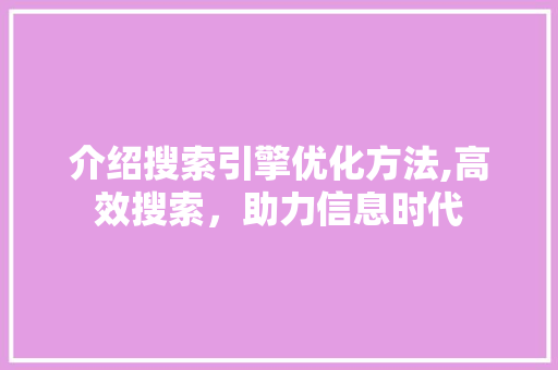 介绍搜索引擎优化方法,高效搜索，助力信息时代