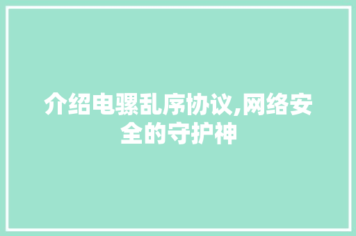 介绍电骡乱序协议,网络安全的守护神