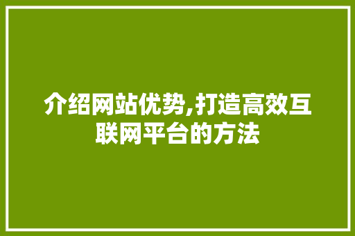 介绍网站优势,打造高效互联网平台的方法