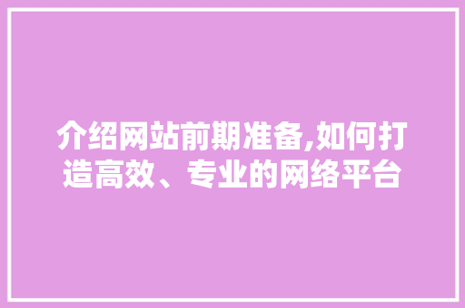 介绍网站前期准备,如何打造高效、专业的网络平台