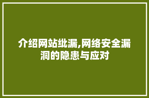 介绍网站纰漏,网络安全漏洞的隐患与应对