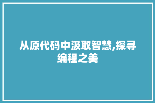 从原代码中汲取智慧,探寻编程之美