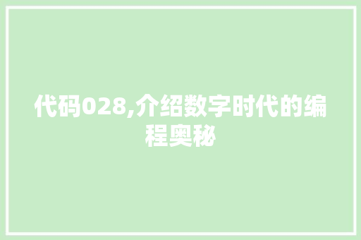 代码028,介绍数字时代的编程奥秘