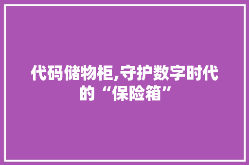 代码储物柜,守护数字时代的“保险箱”