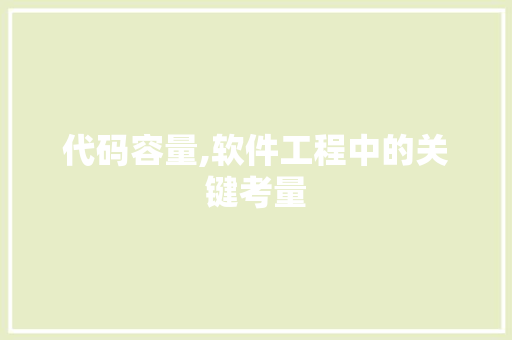 代码容量,软件工程中的关键考量