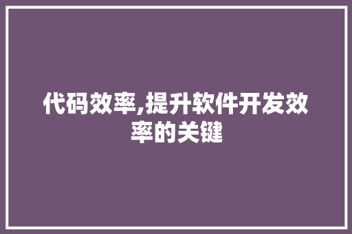 代码效率,提升软件开发效率的关键