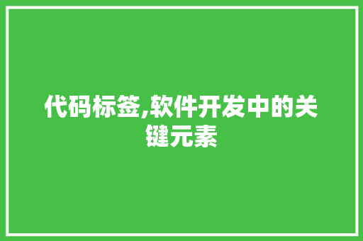 代码标签,软件开发中的关键元素