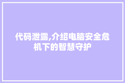 代码泄露,介绍电脑安全危机下的智慧守护